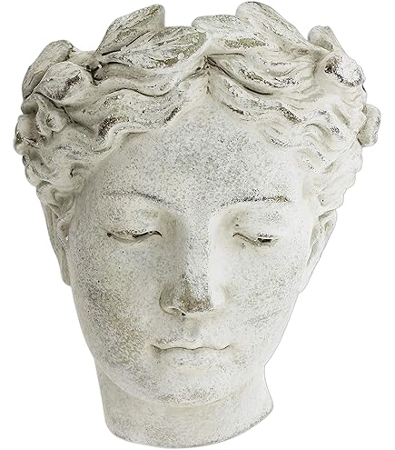 Amazon.co.jp: MacKenzie-Childs Patience Brewster ダッシュアウェイ